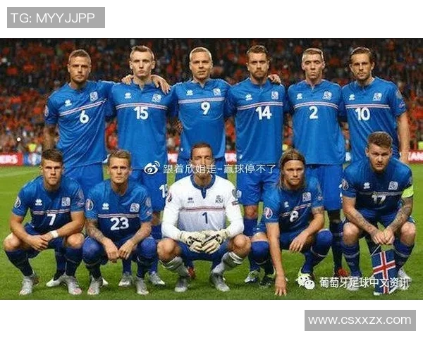 冰岛与土耳其足球对决比分分析及战术解析