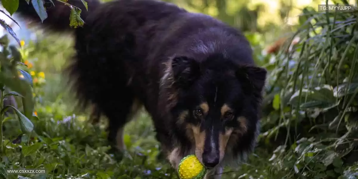 球迷专属，周边一站式购齐！🎁👕